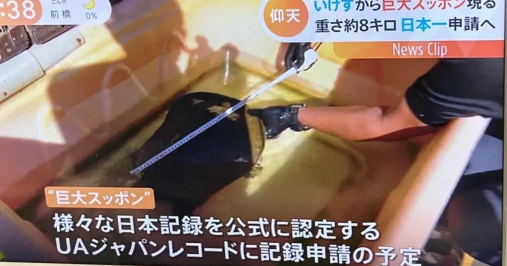 ユニーク 町おこし 取り組み