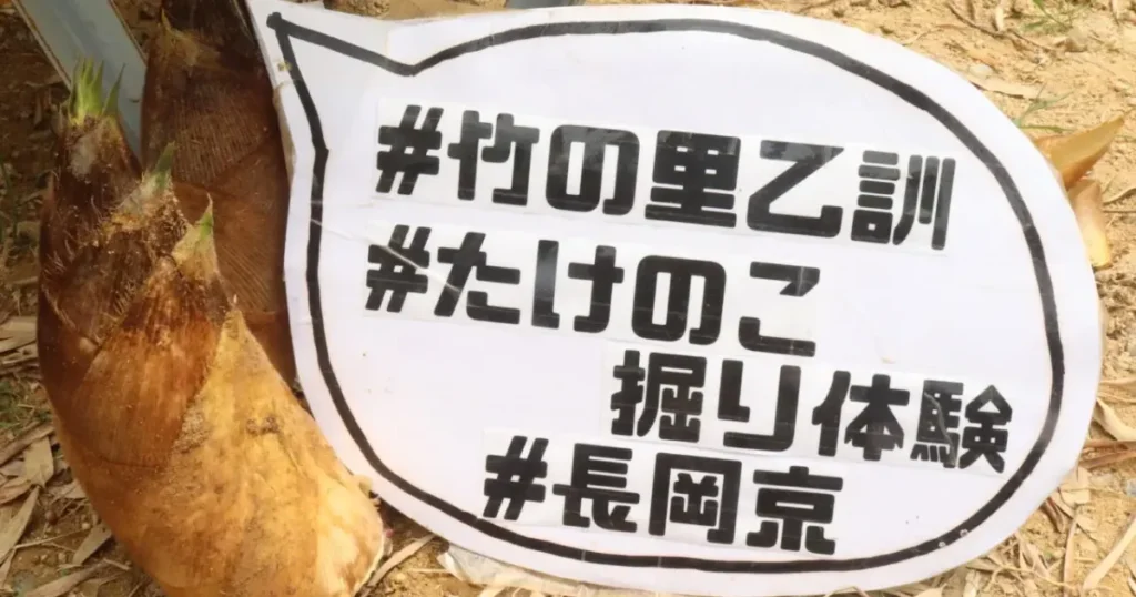 日本 成功 事例 町おこし 地方創生 地域活性 イベント
