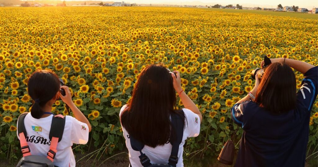 過疎地域　過疎地域市町村　一部過疎　みなし過疎　町おこし　取り組み　日本一　日本記録