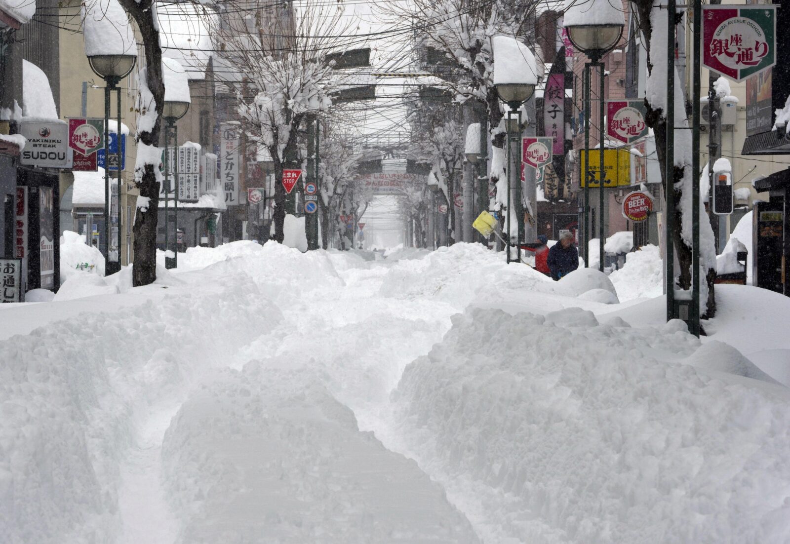 雪が降り積もっている
