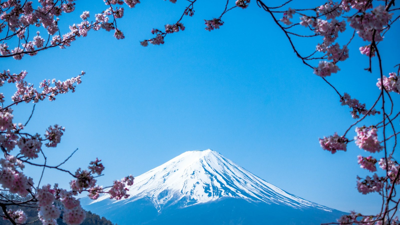 日本一 一覧