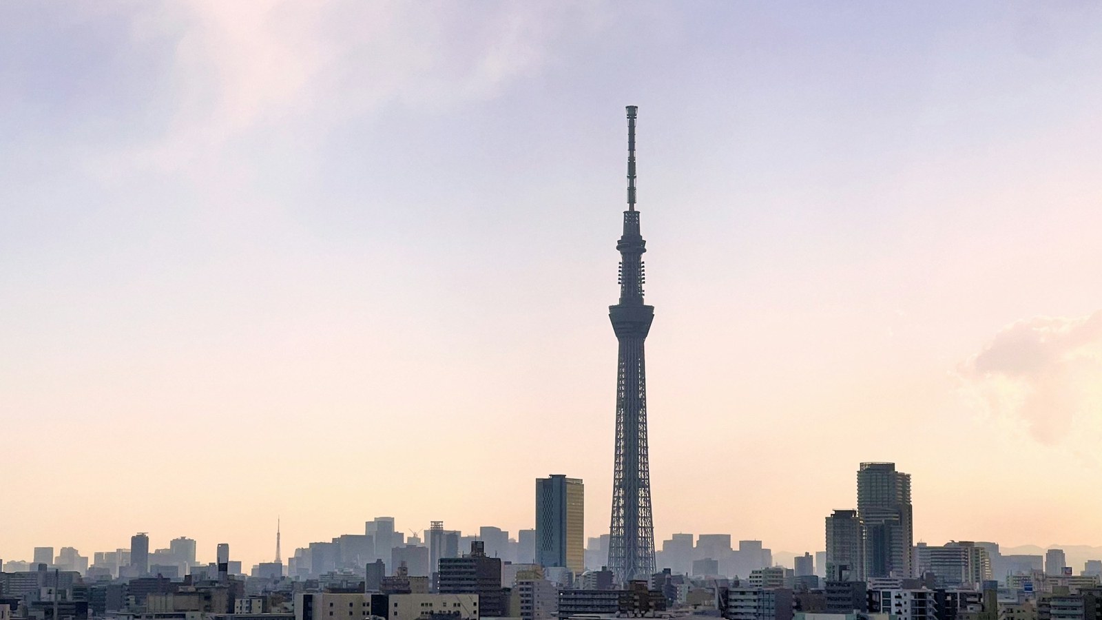 日本一 一覧