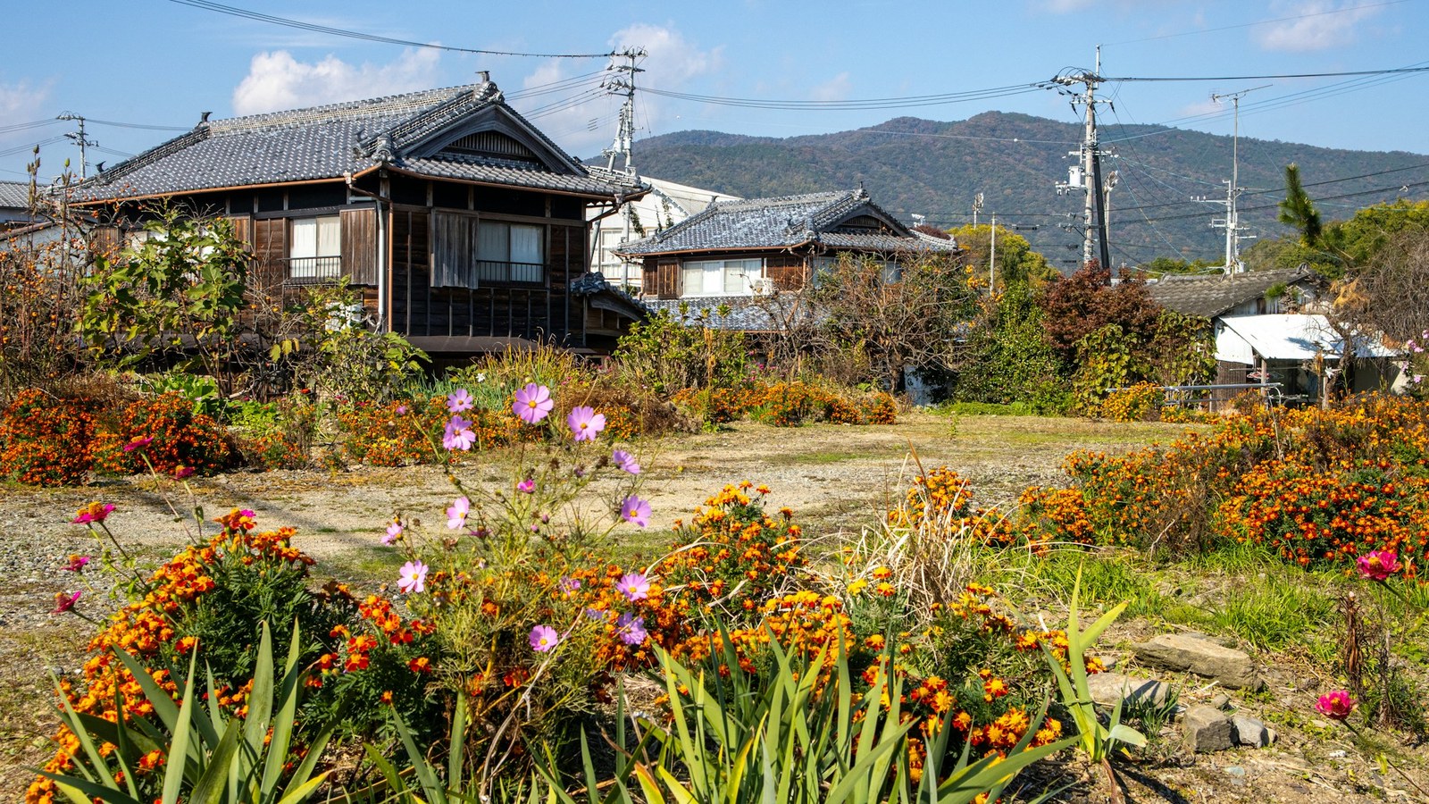 地方創生 企業